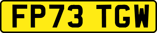 FP73TGW