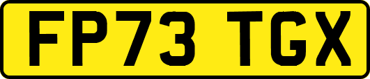 FP73TGX