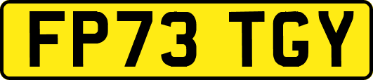 FP73TGY