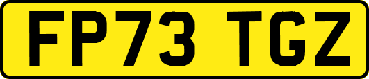 FP73TGZ