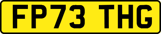 FP73THG