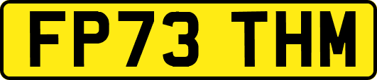 FP73THM