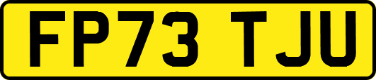 FP73TJU