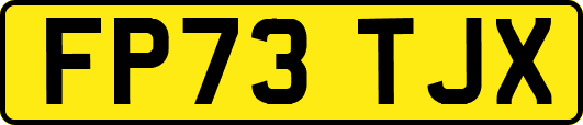 FP73TJX