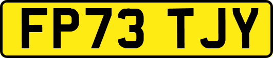 FP73TJY