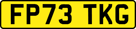 FP73TKG