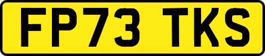 FP73TKS