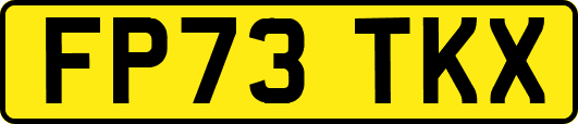 FP73TKX