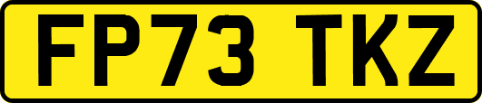 FP73TKZ