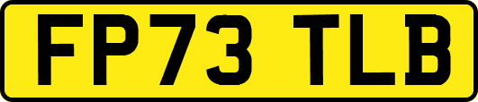 FP73TLB