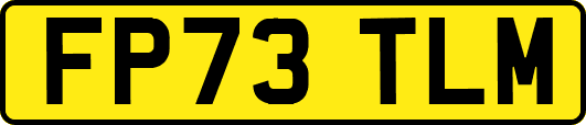 FP73TLM