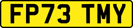FP73TMY
