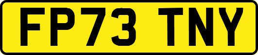 FP73TNY