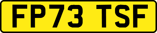 FP73TSF