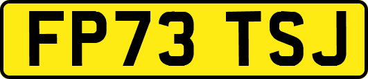 FP73TSJ
