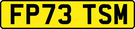 FP73TSM