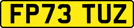 FP73TUZ