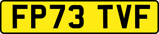 FP73TVF