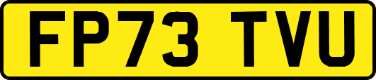 FP73TVU
