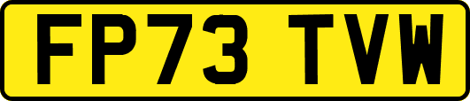 FP73TVW