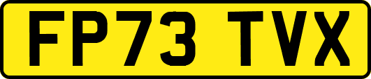 FP73TVX