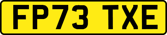 FP73TXE