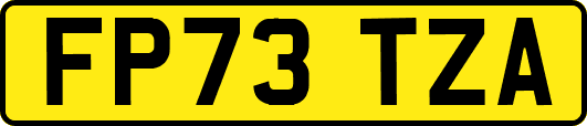 FP73TZA