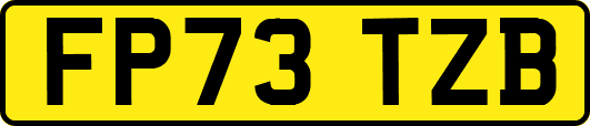 FP73TZB