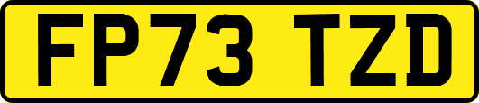 FP73TZD