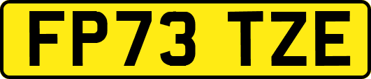 FP73TZE