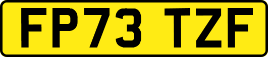 FP73TZF