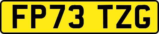 FP73TZG