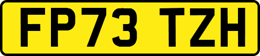 FP73TZH