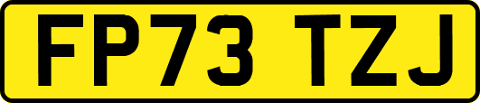FP73TZJ