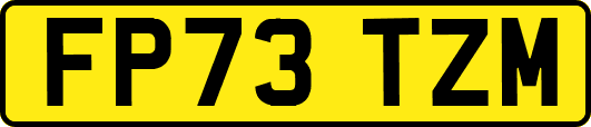 FP73TZM