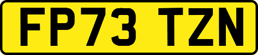 FP73TZN