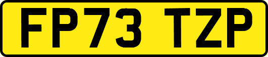 FP73TZP