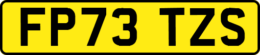 FP73TZS