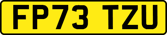 FP73TZU