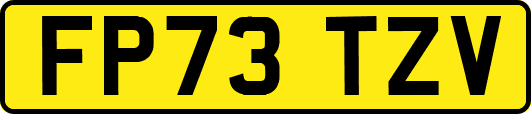 FP73TZV