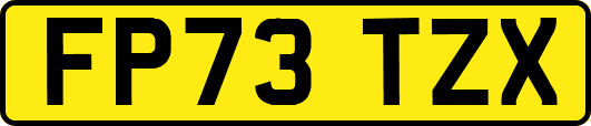 FP73TZX
