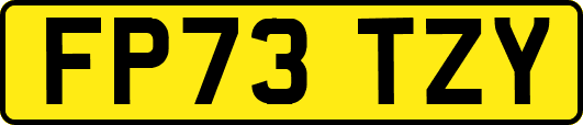 FP73TZY