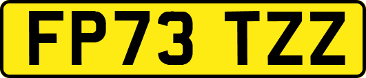 FP73TZZ