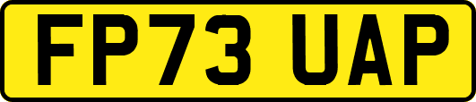 FP73UAP