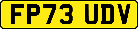 FP73UDV