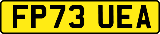 FP73UEA