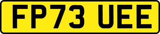 FP73UEE