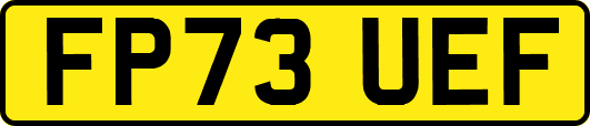 FP73UEF