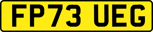 FP73UEG