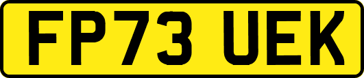 FP73UEK